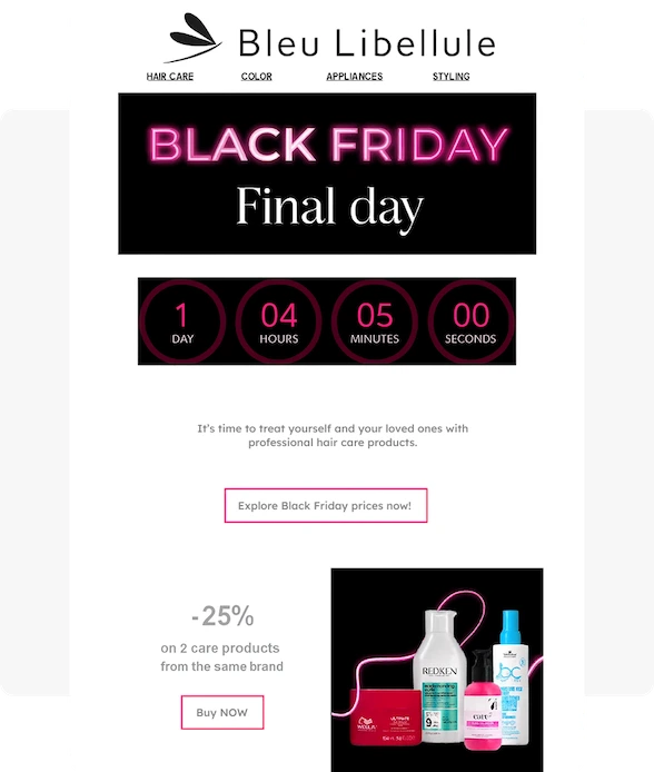 seasonal promo email example